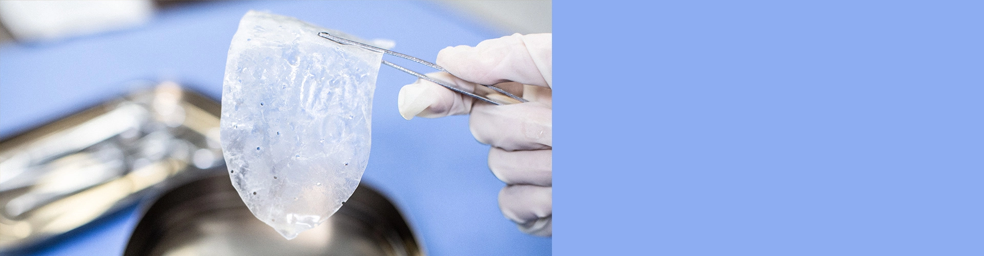 Preguntas frecuentes sobre productos biológicos