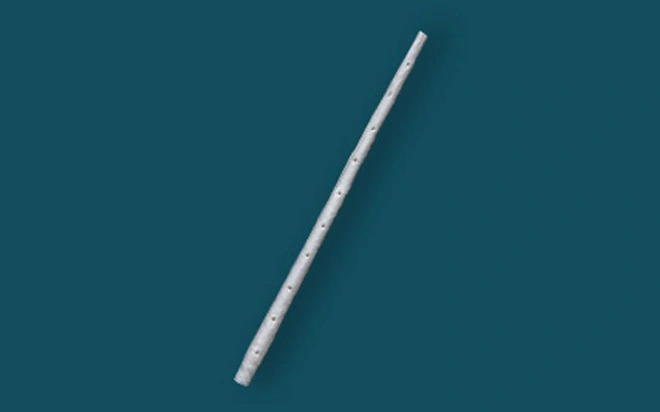 Enchufe DE LA Vístula Anal