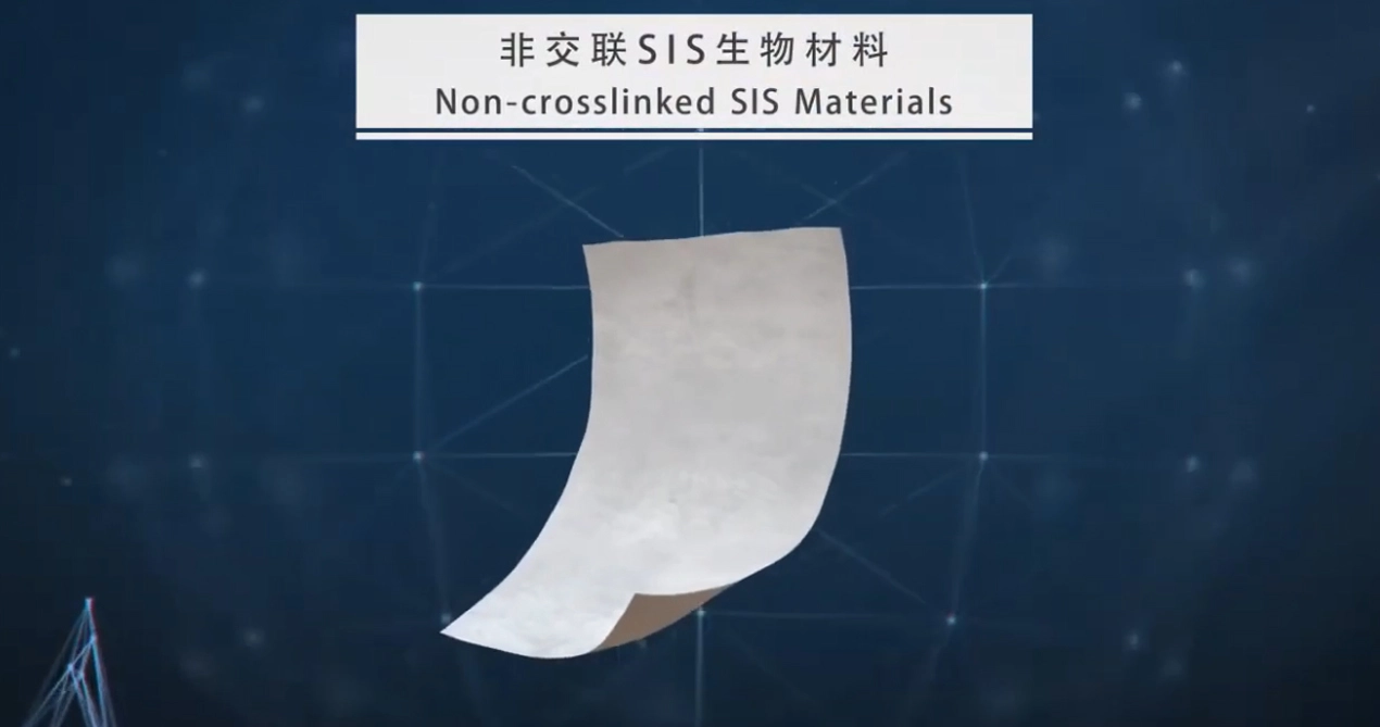 SIS malla biorreabsorbible